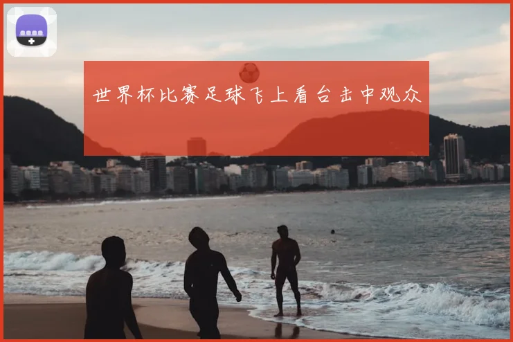 世界杯比赛足球飞上看台击中观众