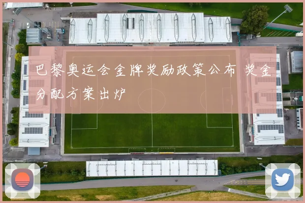 巴黎奥运会金牌奖励政策公布 奖金分配方案出炉