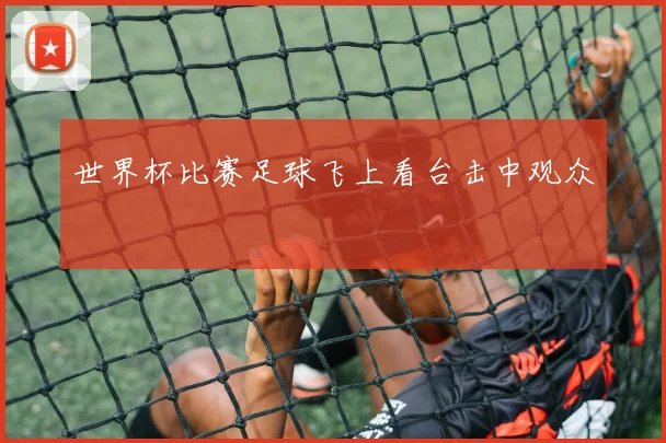 世界杯比赛足球飞上看台击中观众