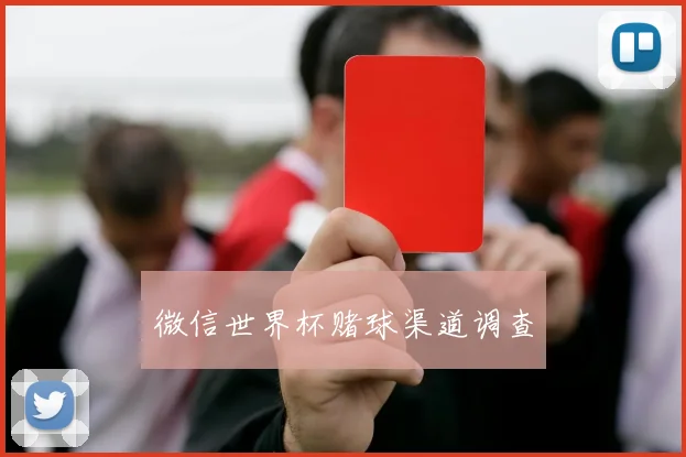 微信世界杯赌球渠道调查