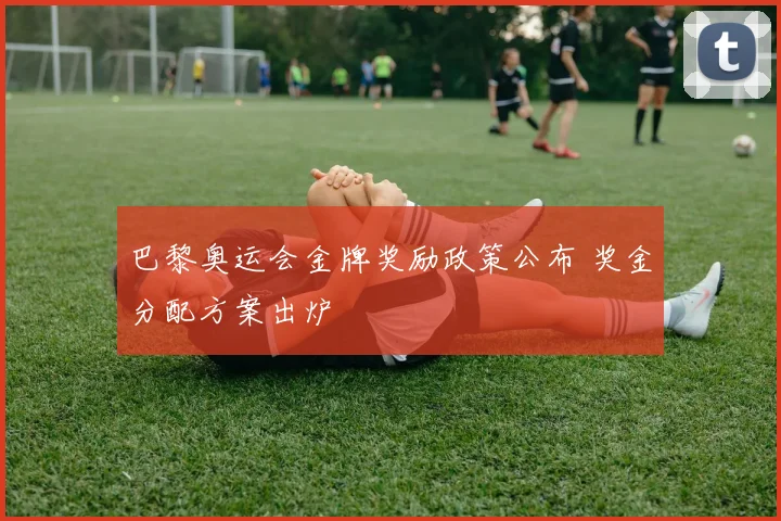 巴黎奥运会金牌奖励政策公布 奖金分配方案出炉