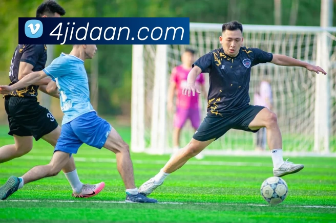 滚球官网app平台生态图